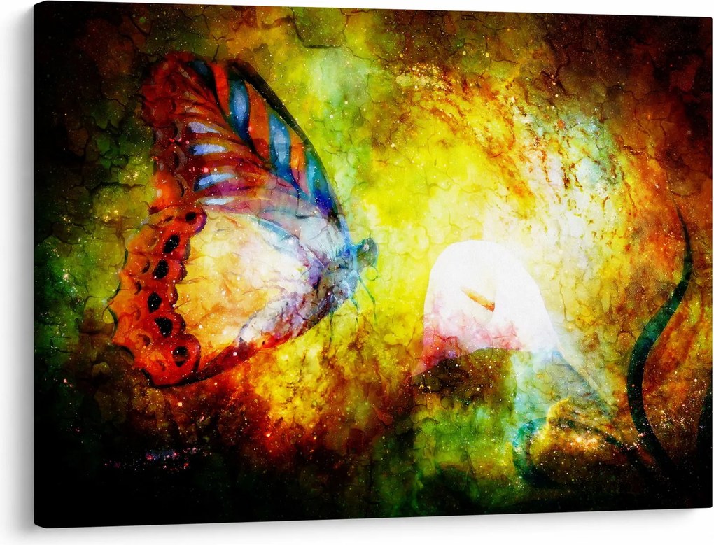 Obraz - Kosmiczny motyl (70x50 cm)
