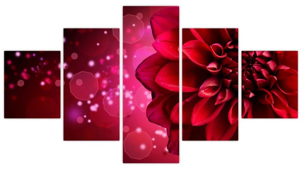 Obraz czerwonego kwiatu (125x70 cm)