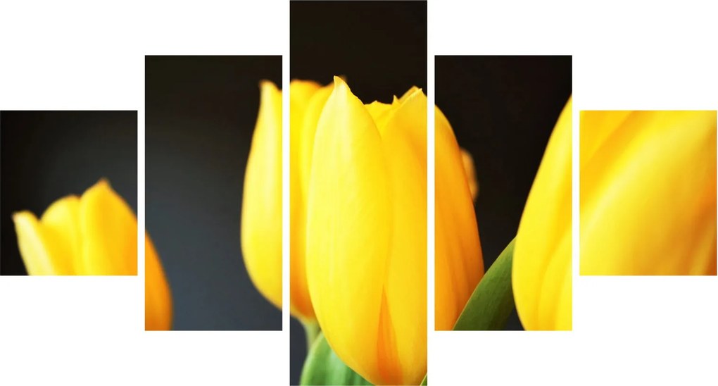Obraz tulipanów (125x70 cm)
