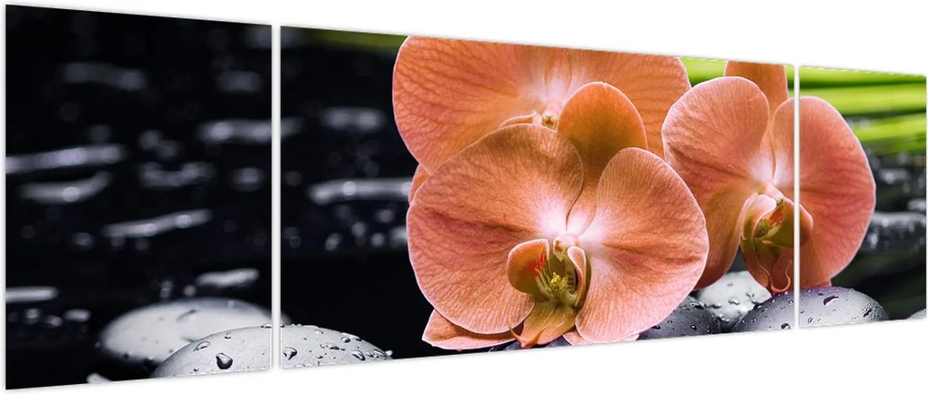 Obraz - Pomarańczowa orchidea z liśćmi palmy (170x50 cm)