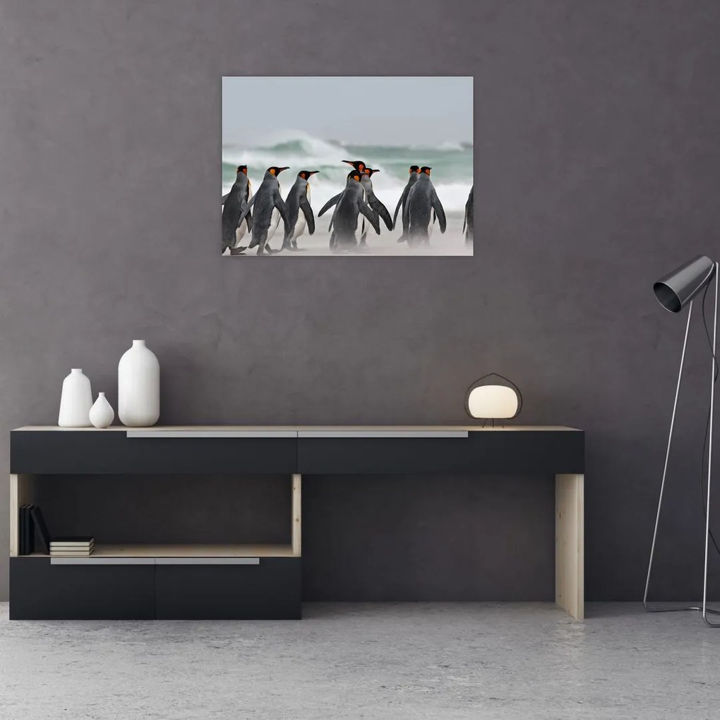 Obraz na szkle pingwinów nad oceanem (70x50 cm)