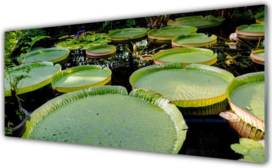 Panel Szklany Odbicie Liści w Cichej Tonii