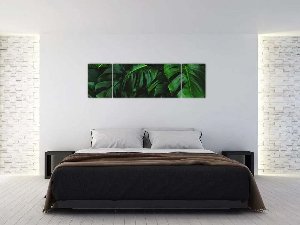 Obraz liści Monstery (170x50 cm)