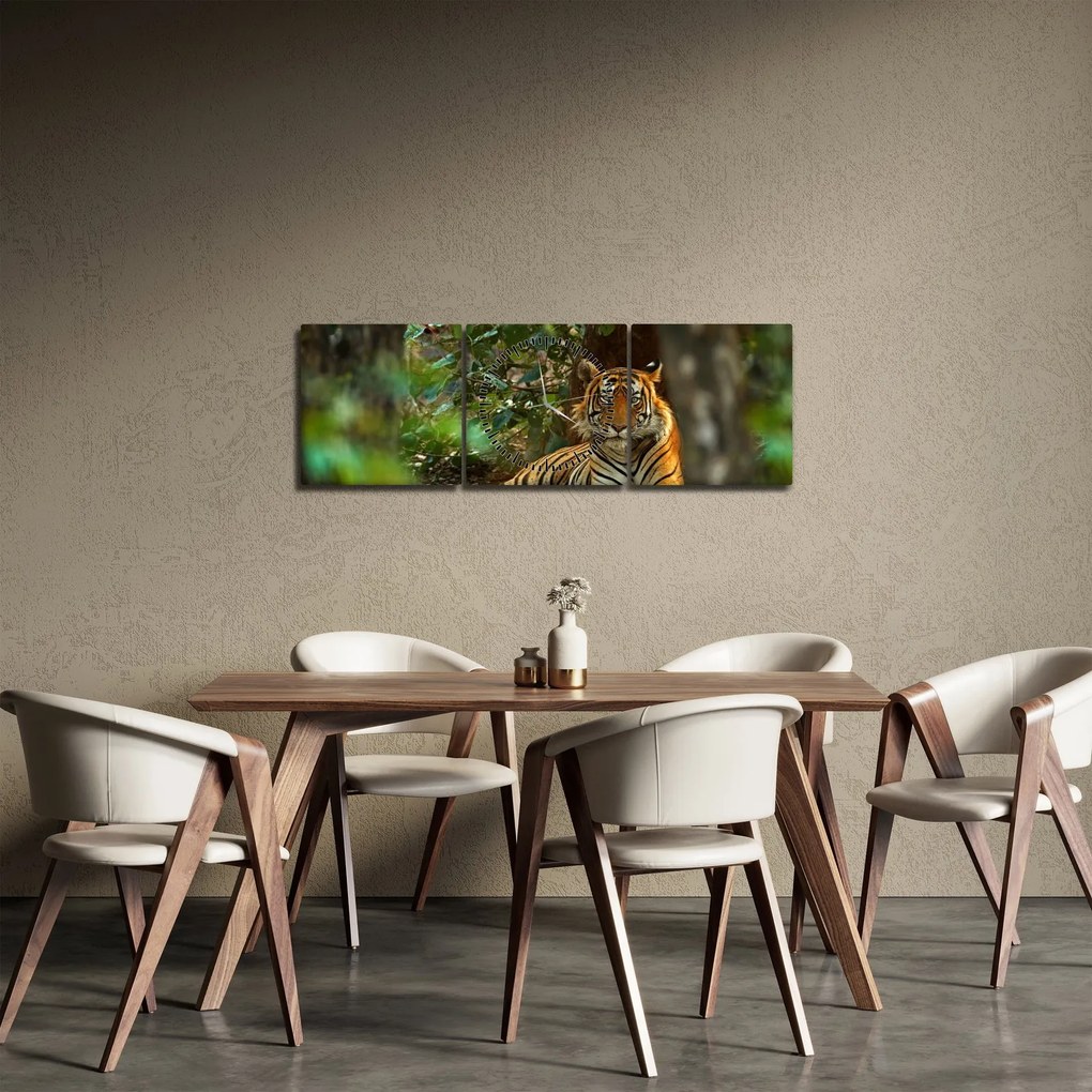 Obraz odpoczywającego tygrysa (z zegarem) (90x30 cm)