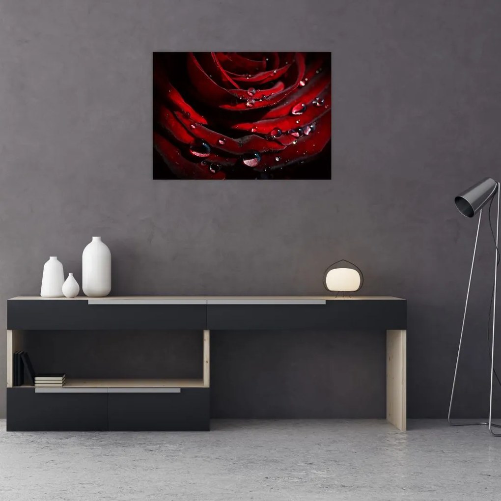Obraz na szkle - Detal róży (70x50 cm)