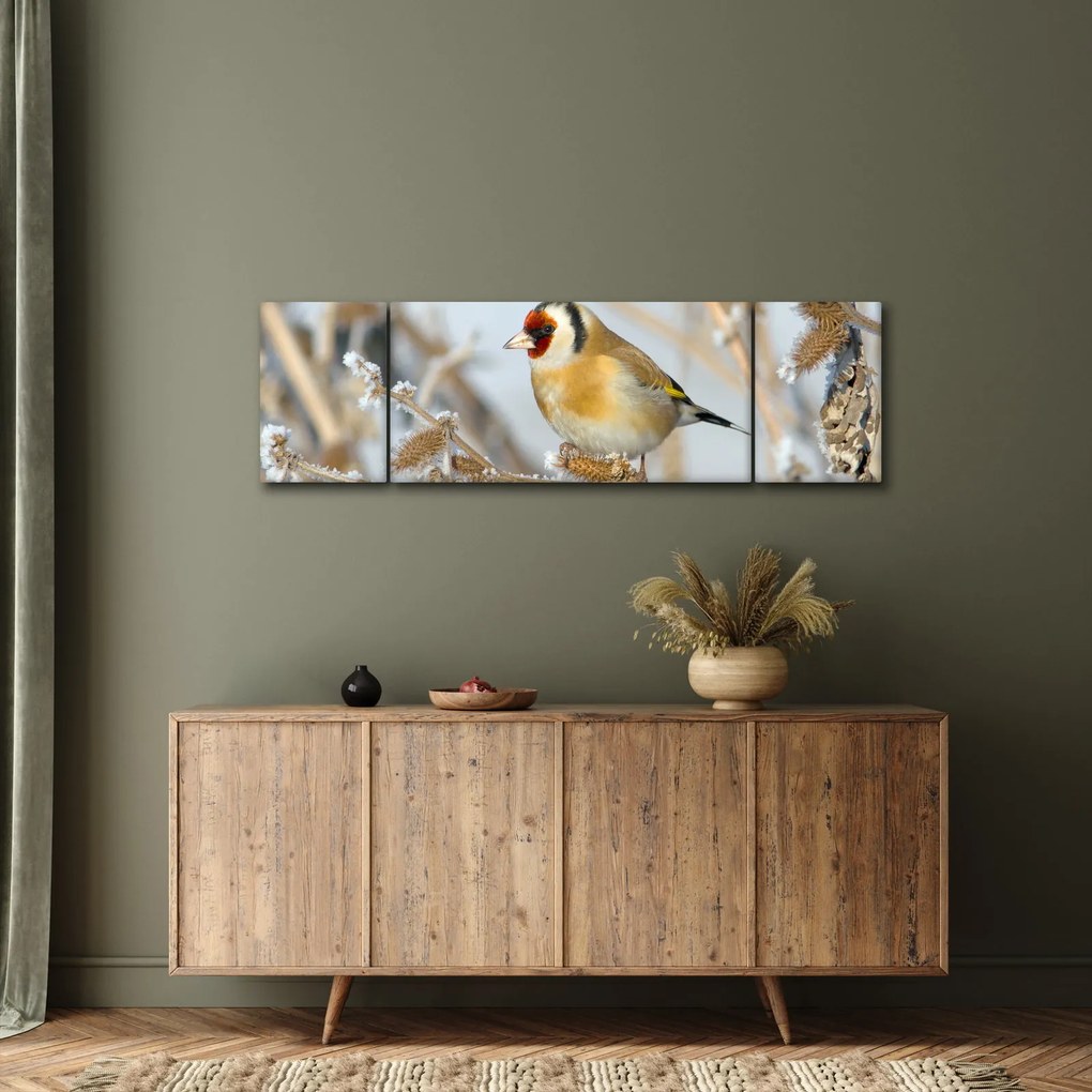Obraz - Szczygieł (170x50 cm)