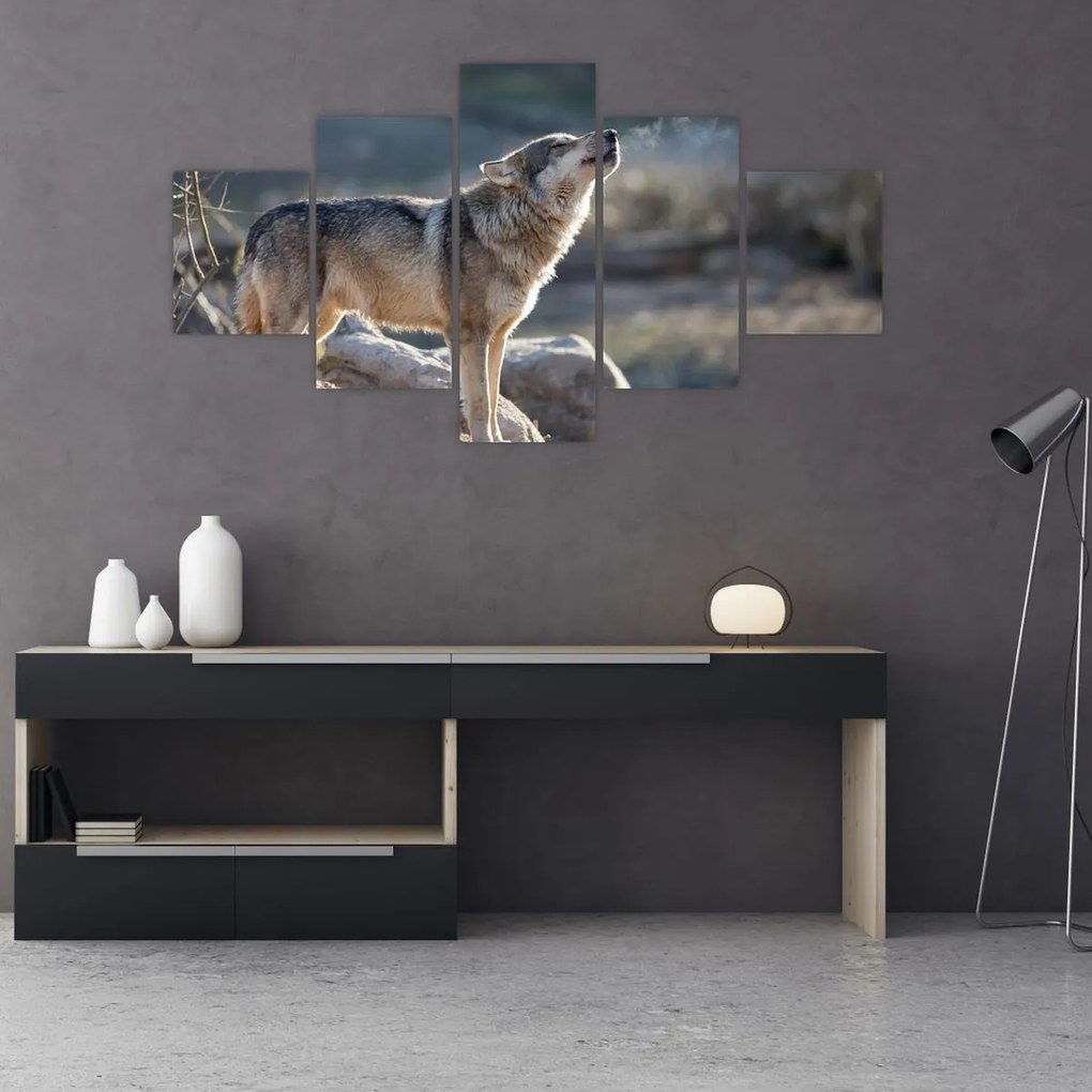 Obraz - Wyjący Wilk (125x70 cm)