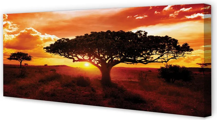 Obraz na płótnie Drzewa i Chmury o Zachodzie