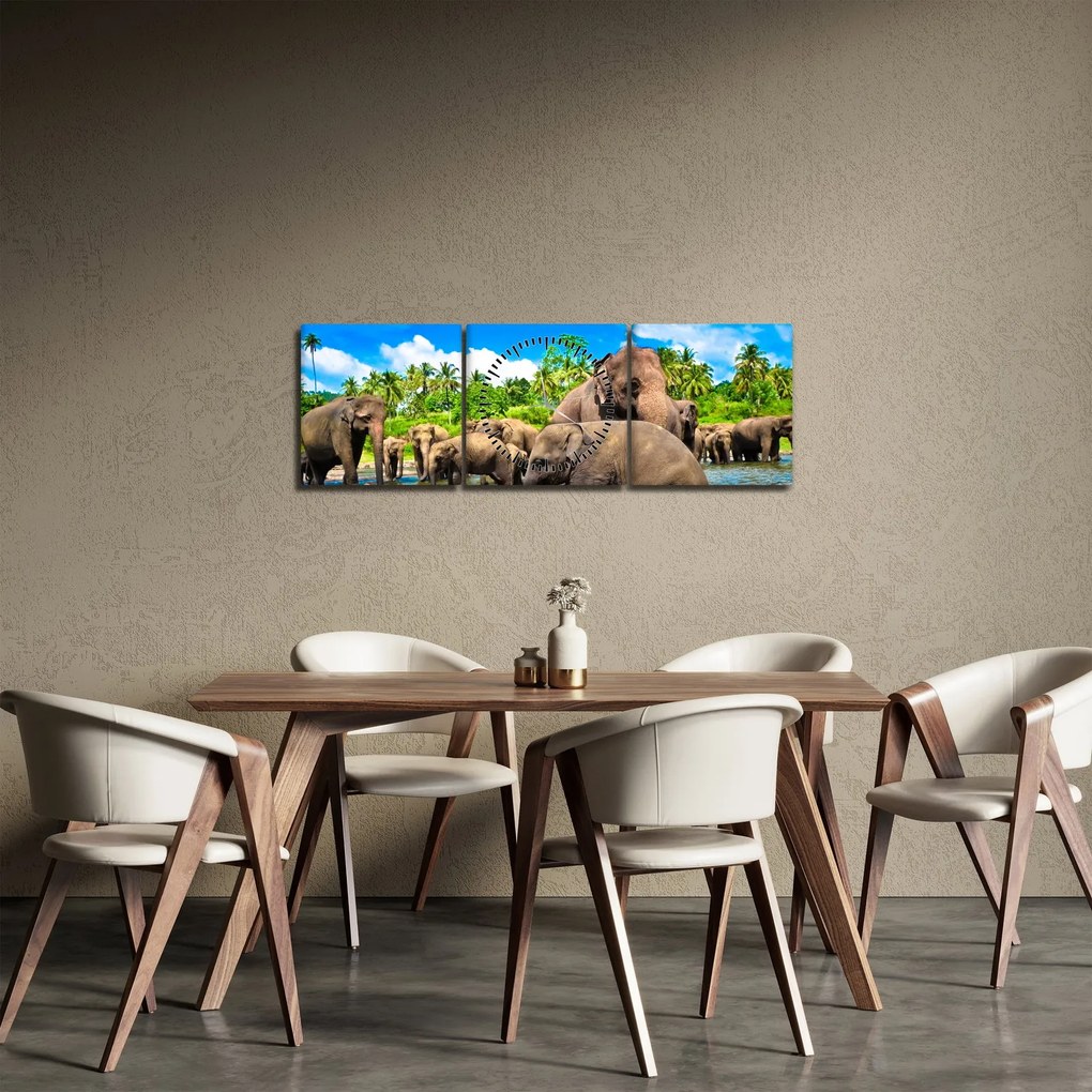 Obraz - Słonie, Sri Lanka (z zegarem) (90x30 cm)