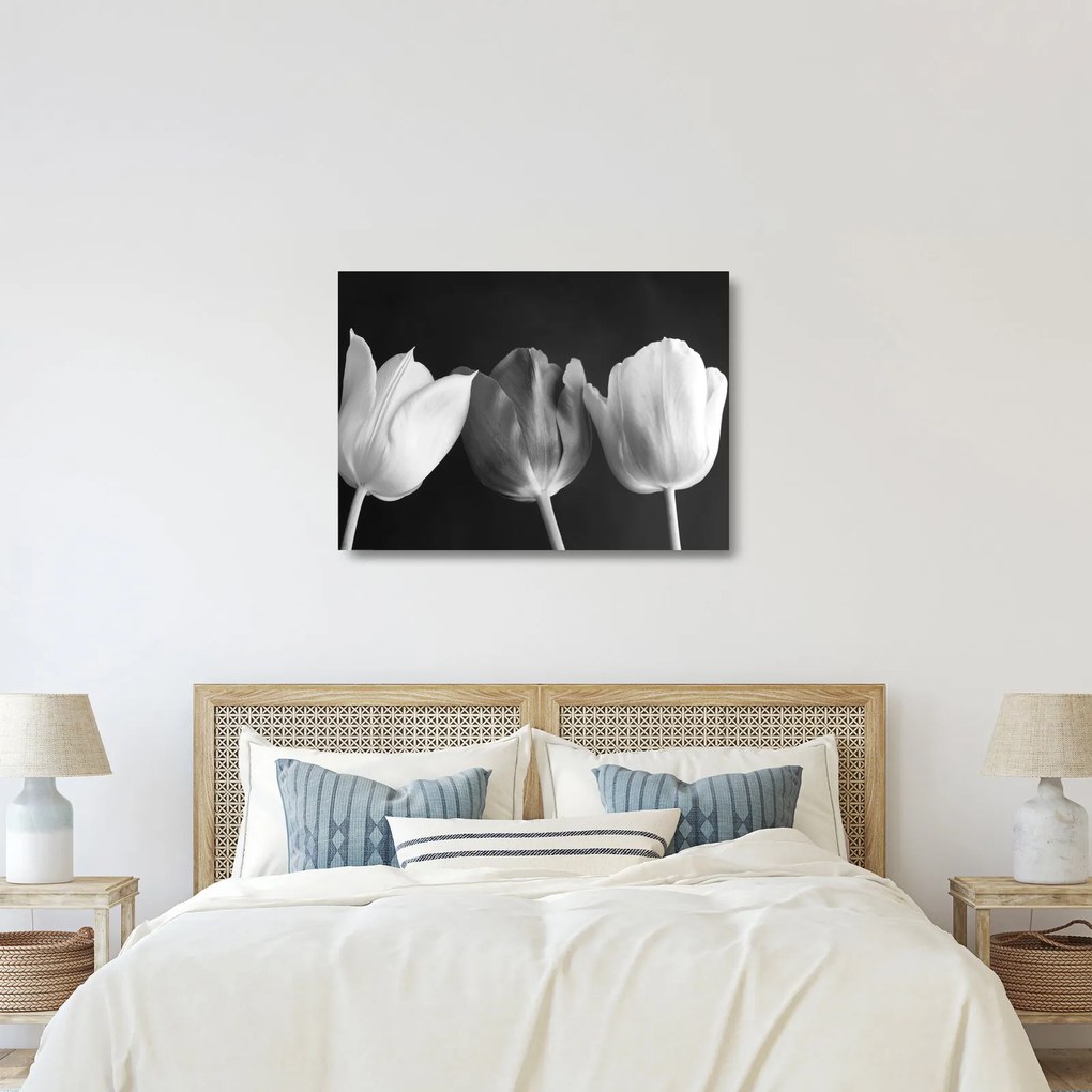 Obraz na szkle - Czarno - białe kwiaty tulipanów (70x50 cm)