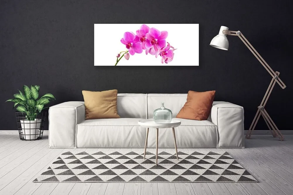 Obraz Canvas Storczyk Kwiat Orchidea