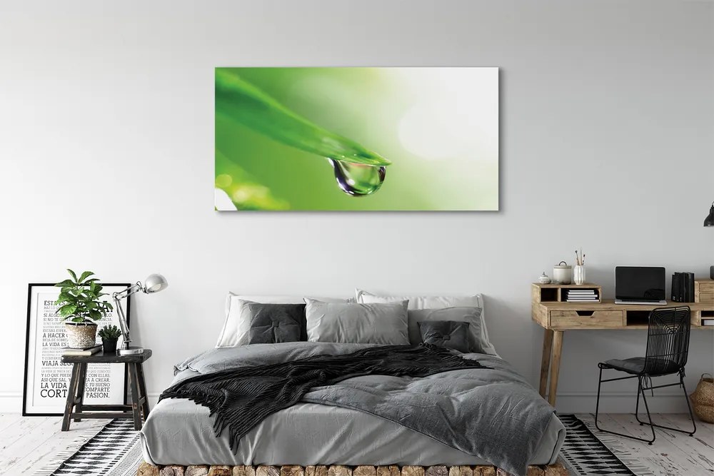 Obraz drukowany na płótnie Słoneczna Kropla na Liściu