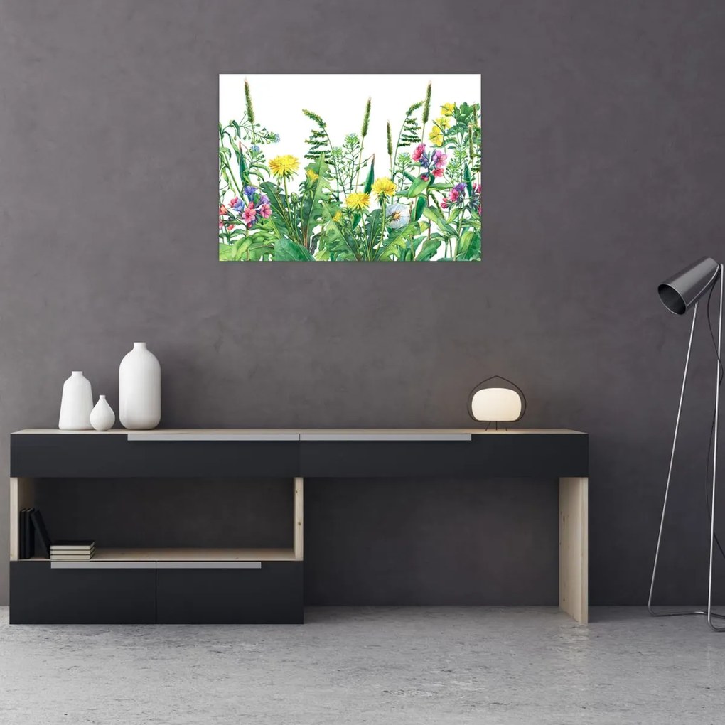 Obraz - Malowane kwiaty łąkowe (70x50 cm)