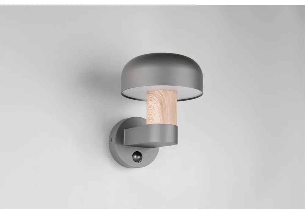 Zewnętrzna lampa ścienna (wysokość 24,5 cm) Fraser – Trio