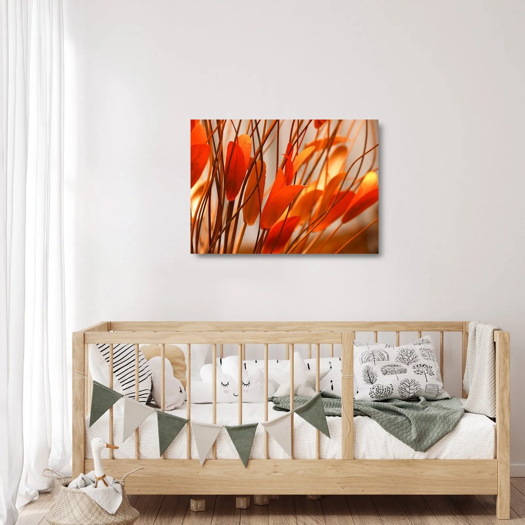 Obraz na szkle płatków kwiatów (70x50 cm)