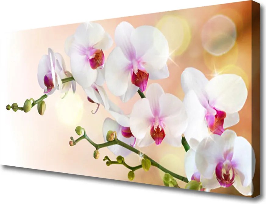 Zdjęcie na płótnie Malowniczy Ogród Kwiatowy