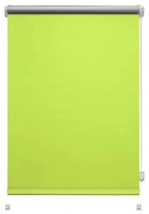 Jasnozielona roleta 57x150 cm Mini Termo – Gardinia