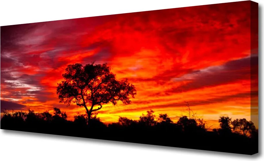 Obraz canvas na ścianę Głusza Leśnej Natury