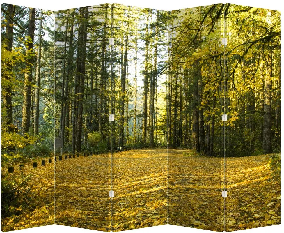 Parawan - Las jesienią (210x170 cm)
