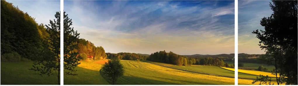 Obraz - Górska łąka (170x50 cm)