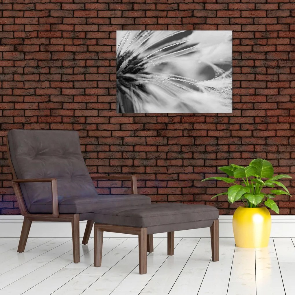 Obraz - Makro, czarno - biały (70x50 cm)