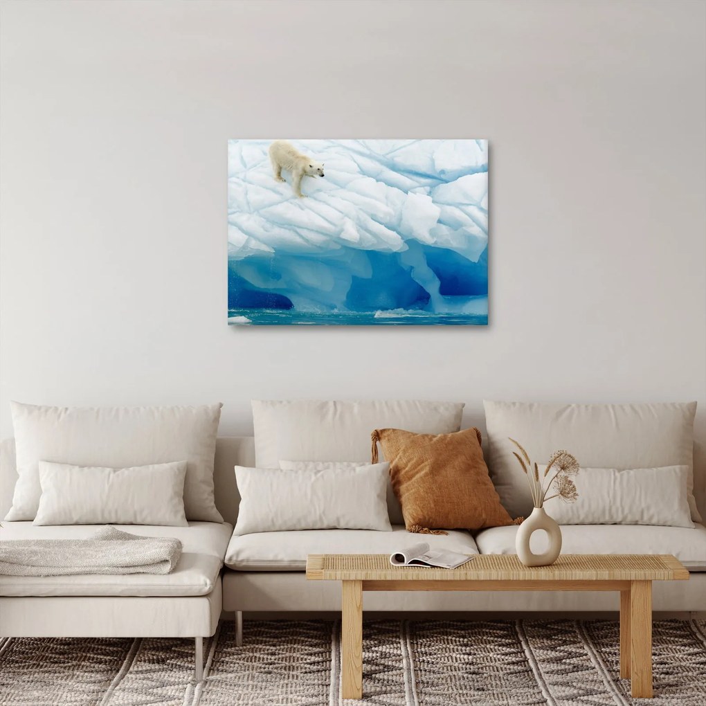 Obraz - Niedźwiedź polarny (70x50 cm)
