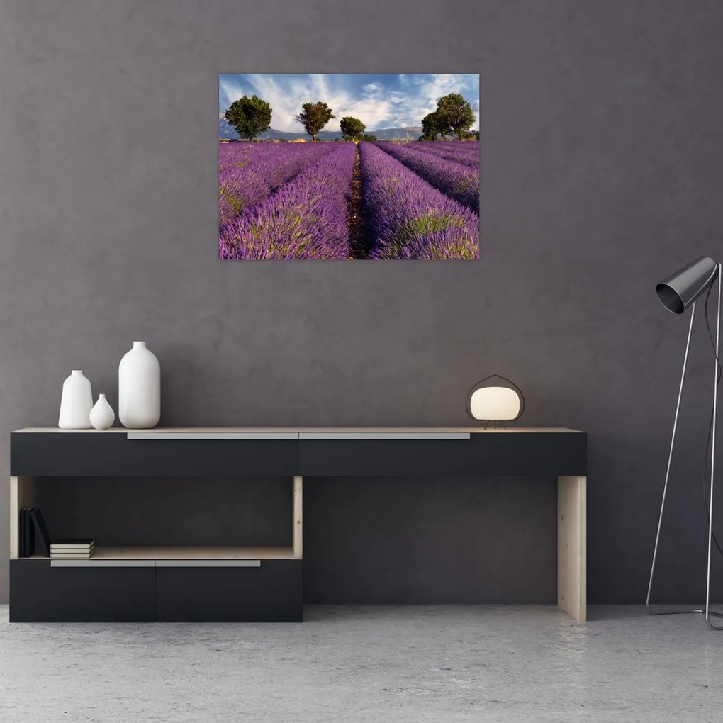 Obraz na szkle - Pole lawendy i góry (70x50 cm)