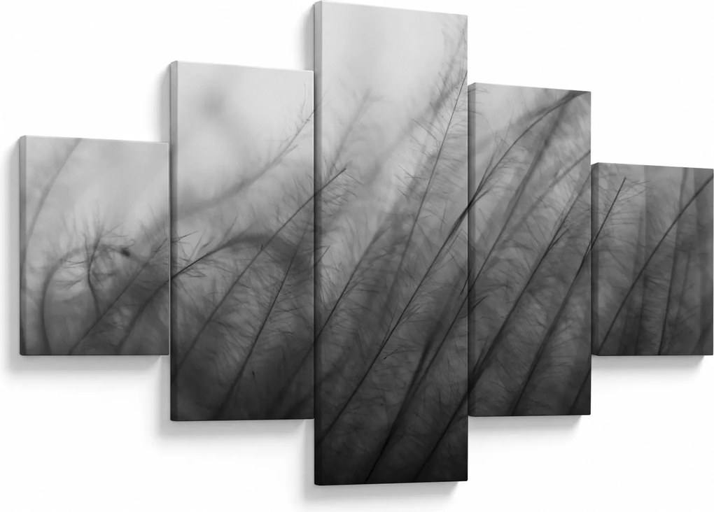 Obraz - Trawa na wietrze (125x70 cm)
