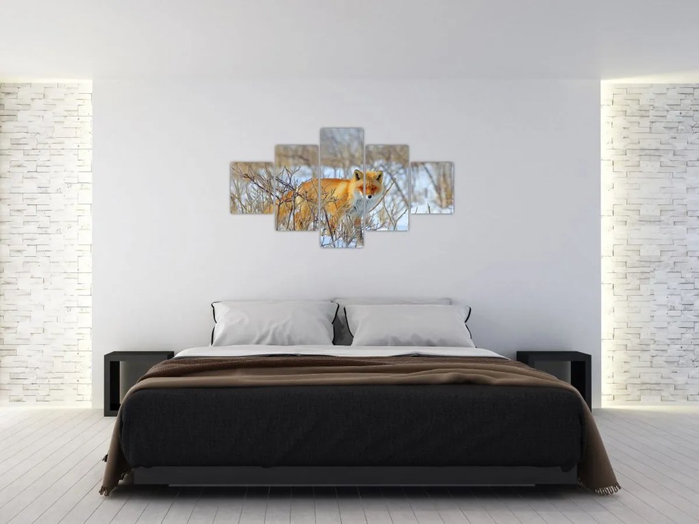 Obraz - Lis (125x70 cm)