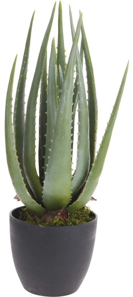 Sztuczna roślina aloes, 45 cm