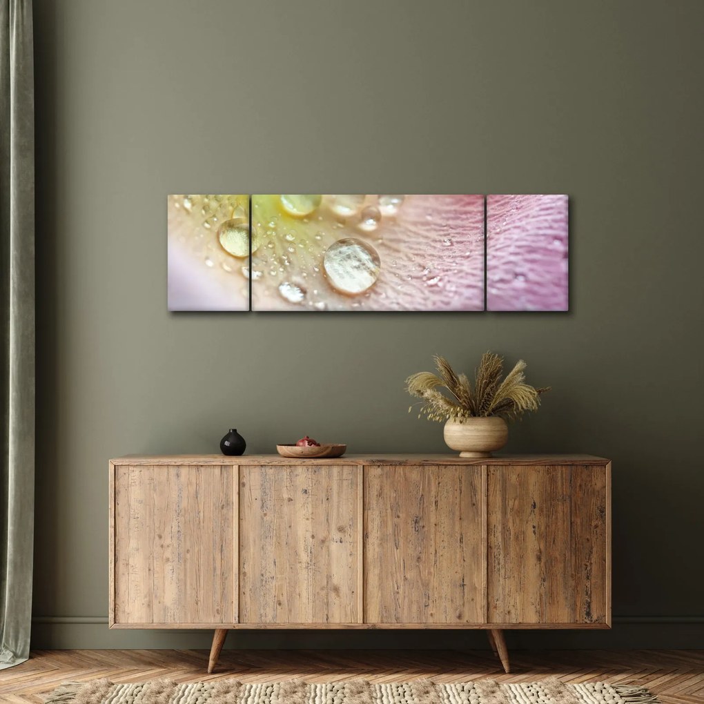 Obraz - Kropelki (170x50 cm)