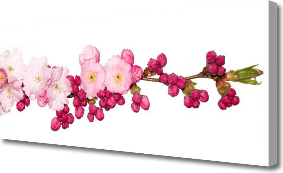 Zdjęcie na płótnie Delikatna Gałązka Kwitnącej Wiśni