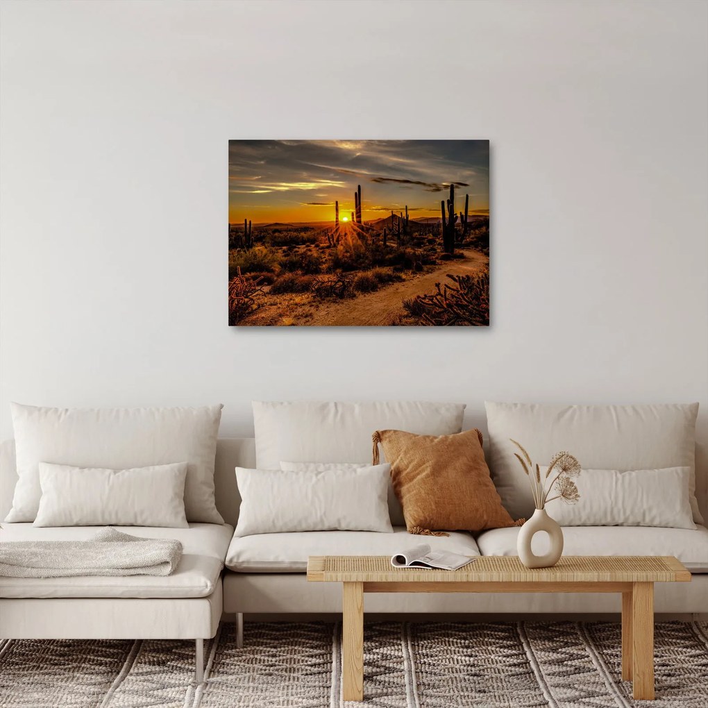 Obraz - Koniec dnia na pustyni w Arizonie (70x50 cm)