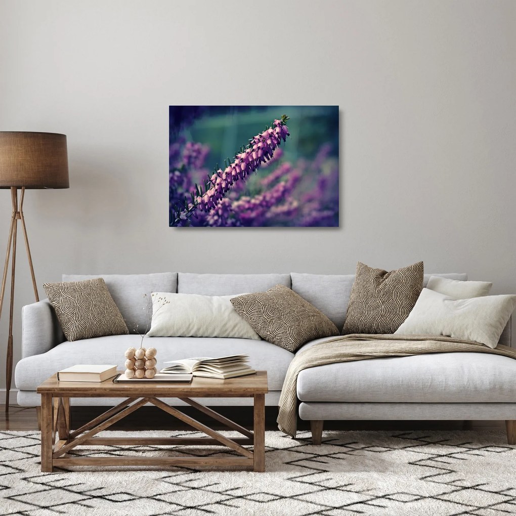 Obraz na szkle - lawenda (70x50 cm)