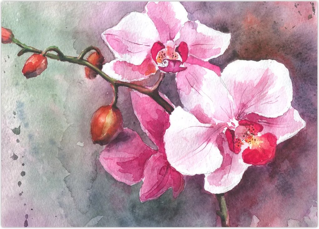 Obraz na szkle - Orchidee, akwarela (70x50 cm)