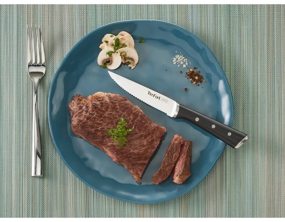 Zestaw noży ze stali nierdzewnej do steków 4 szt. Ice Force – Tefal
