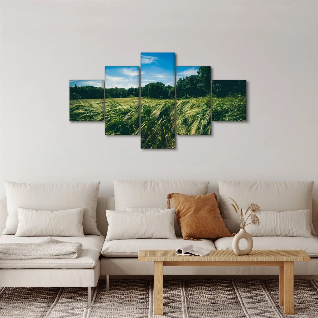 Obraz łąki i lasu (125x70 cm)