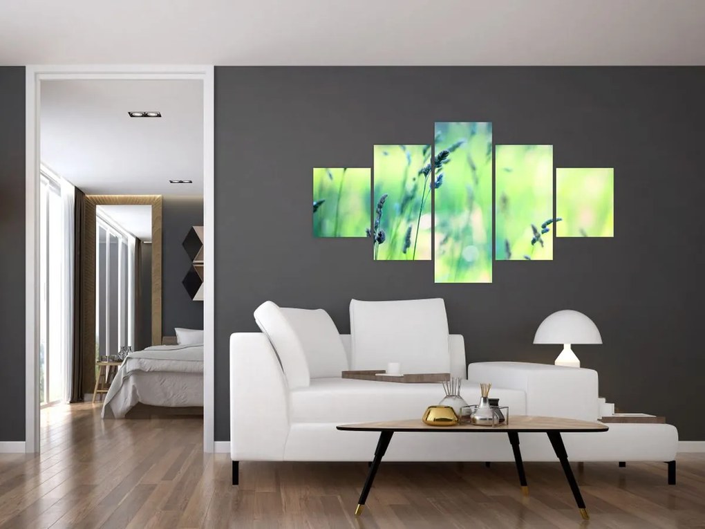 Obraz - Szczegół łąki (125x70 cm)