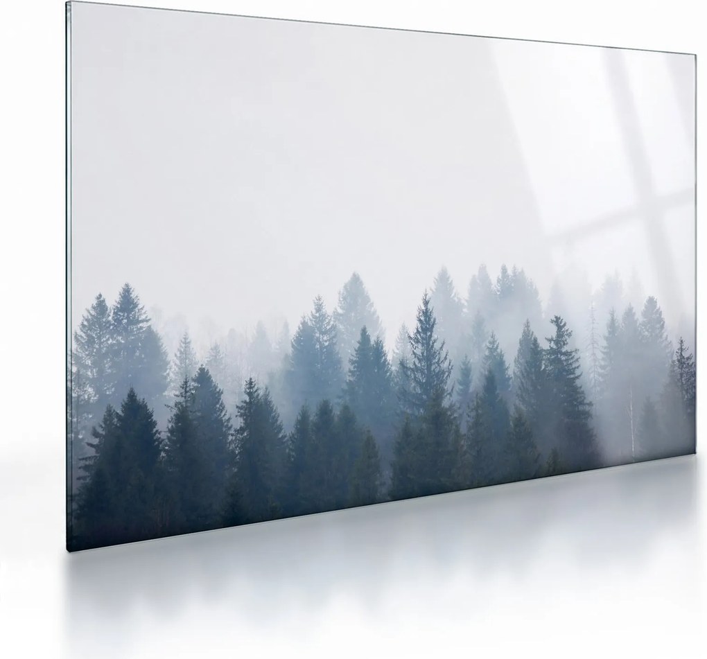 Obraz na szkle - Mglisty las (70x50 cm)