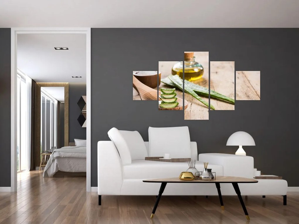 Obraz - Aloes (125x70 cm)