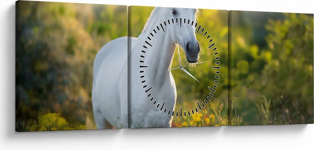 Obraz białego konia na łące (z zegarem) (90x30 cm)