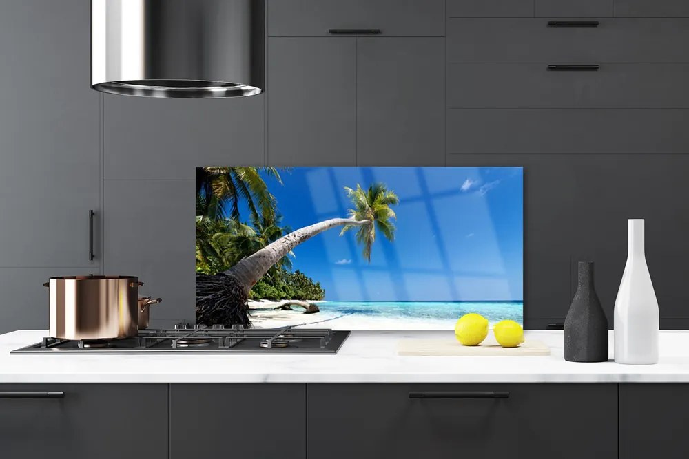 Panel Szklany Rajskie Wybrzeże pod Palmami