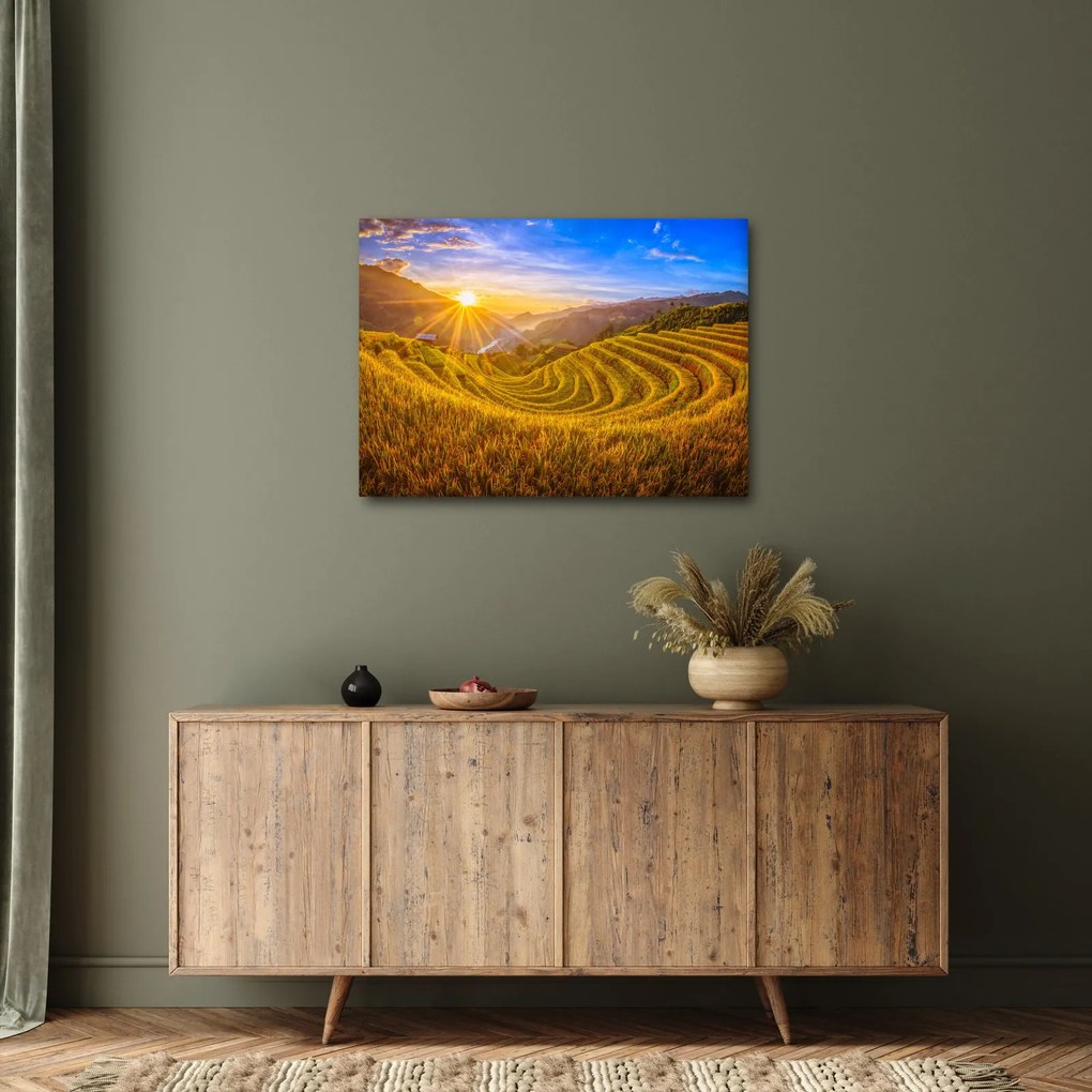 Obraz - Pole ryżowe w Wietnamie (70x50 cm)