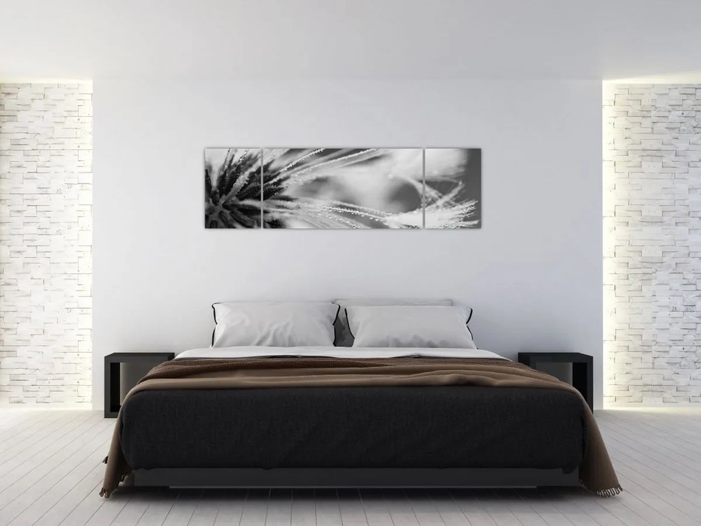 Obraz - Makro, czarno - biały (170x50 cm)