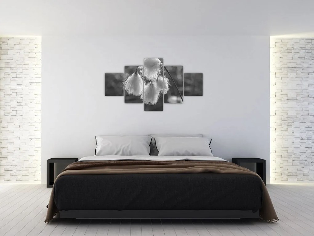 Obraz - Trawa bawełniana (125x70 cm)