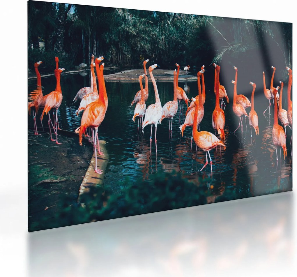 Obraz na szkle stada flamingów (70x50 cm)
