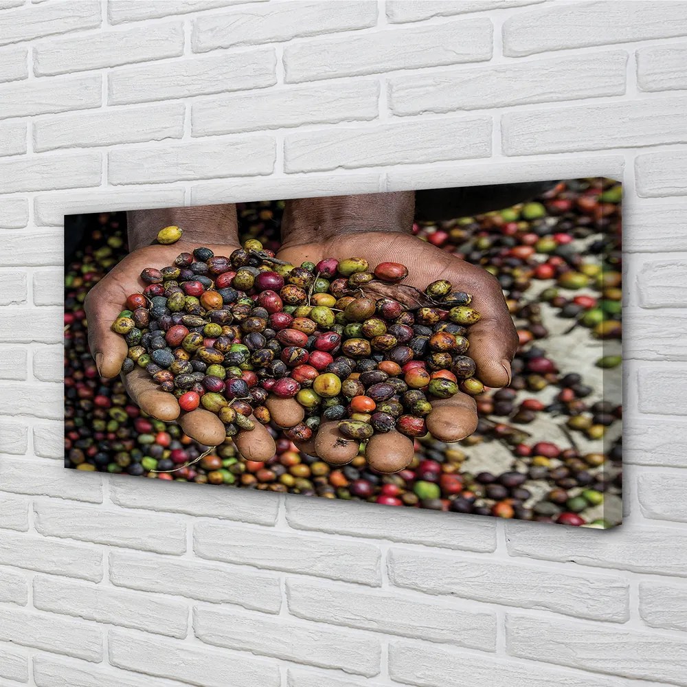 Zdjęcie na płótnie Przyprawy Świata