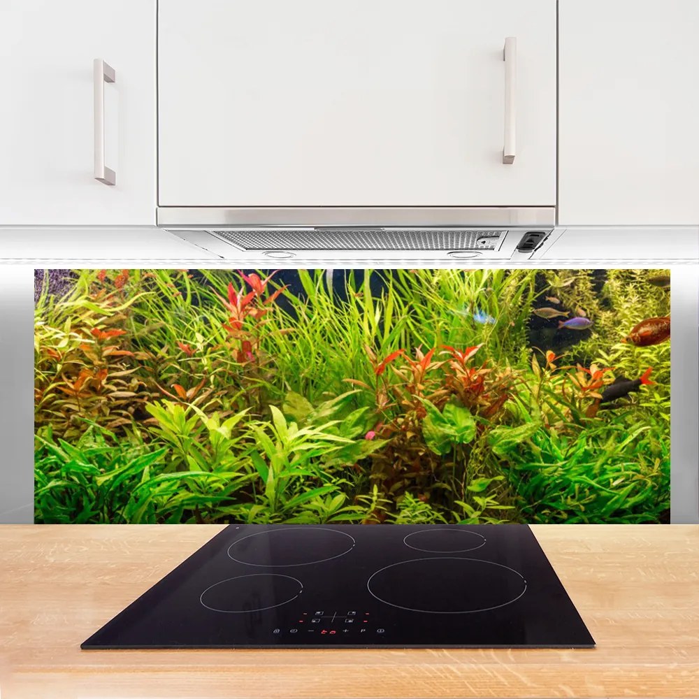 Szkło nad Blatem Podwodny Świat Akwarium