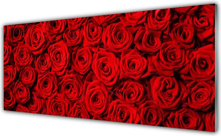 Panel Kuchenny Królewskie Róże Ścienne