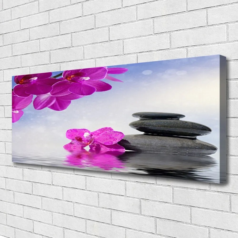 Obraz na płótnie Egzotyczna Kompozycja Storczyków